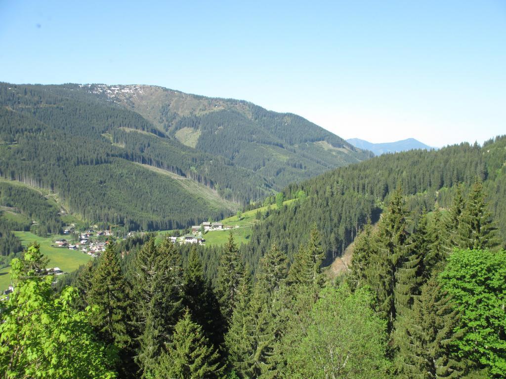 Ferienwohnung Haus Ellbrunn Filzmoos Zimmer foto